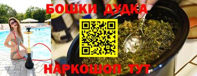 PSILOCYBIN Донской