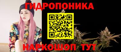 бошки Донецк