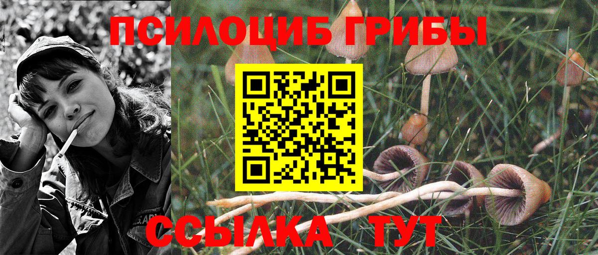 Псилоцибиновые грибы MAGIC MUSHROOMS  Псилоцибиновые грибы Psilocybine cubensis  Можайск  Вход с VPN 